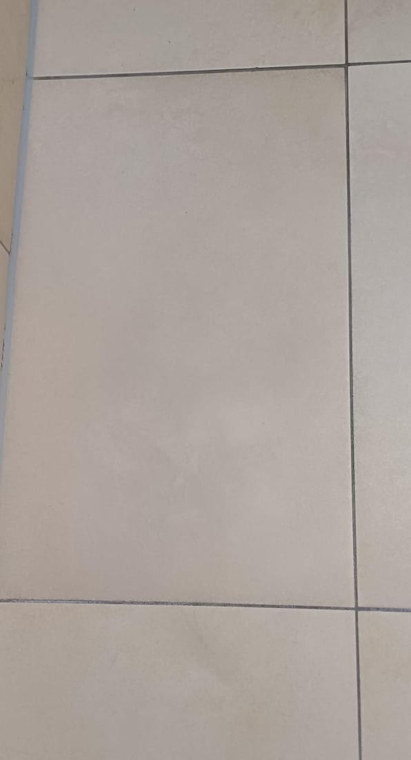 Damaged tile face made good After